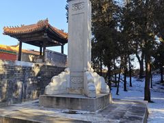 -清东陵