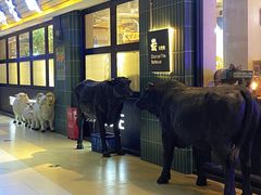 -金轮星光名座生活广场