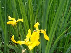 -苏州河梦清园环保主题公园