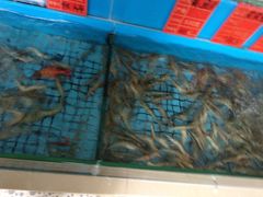 -湖滨国际酒店中餐厅·宴会厅
