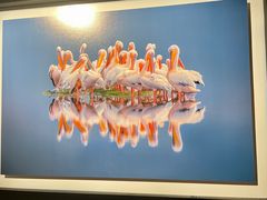 -罗红摄影艺术馆