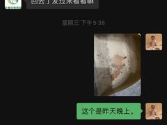 -汪喵宠物医院·骨科心脏影像·犬猫急重症ICU诊疗中心(成华分院)