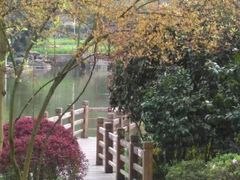-龙头寺公园