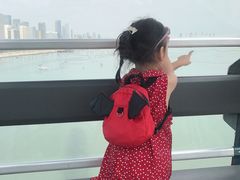 -琴岛之星摩天轮