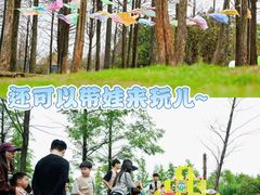 -艾溪湖湿地公园