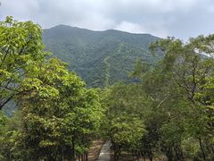 -梧桐山风景名胜区