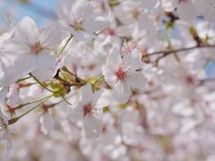 -龙美术馆(西岸馆)