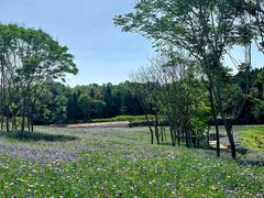 -仙海旅游度假区