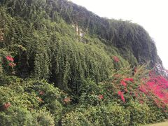 -府河摄影公园