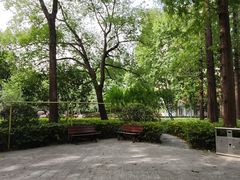 -徐家汇源景区-衡山公园