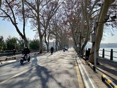 -李公堤