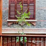 这里真的是餐厅吗？？