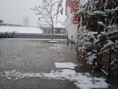 -洋湖国家湿地公园
