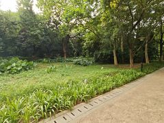 -天河儿童公园