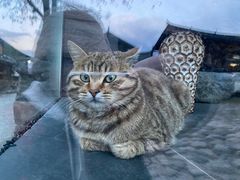 -炊烟餐厅