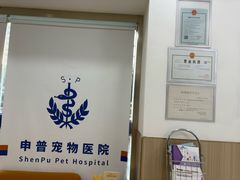 -申普宠物医院·眼科·心内科·影像科(普陀分院)