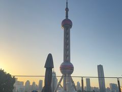 -莫尔顿牛排坊(浦东ifc店)