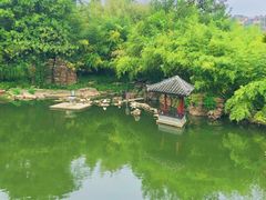 -水绘园
