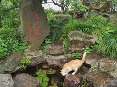 -无锡梅园公园