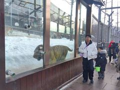 -横道河子东北虎林园