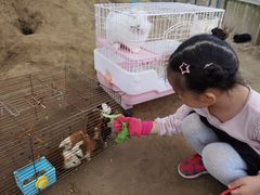 -前小桔亲子创意农场·草莓采摘·露营烧烤