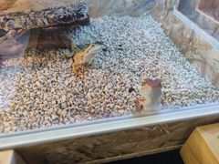 -昆百大泰业城