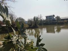 -思念果岭湖畔花房餐厅