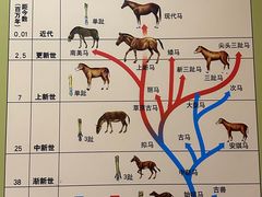 -天津自然博物馆