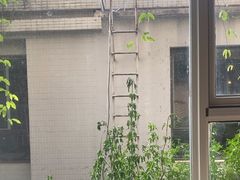 -花迹(富春江东街店)