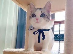 -邢大夫动物医院