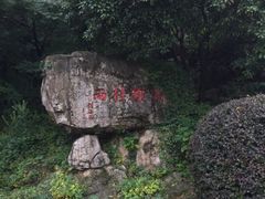 -杭州少年儿童公园