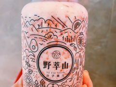 -野萃山·潮汕厚果汁(十亩地店)