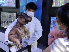 -侏罗纪世界电影特展(广州站)