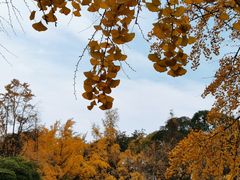 -四川大学(华西校区)