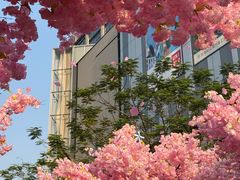 -东莞松山湖万象汇