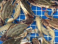 -威海渔村(黄兴路店)