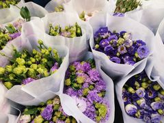 -循礼门鲜花花市(武汉循礼门店)