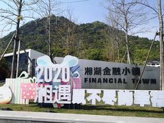 -湘湖金融镇