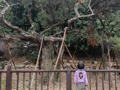 -草庵摩尼教遗址公园