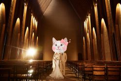 -CD视觉婚纱摄影