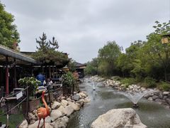 -茯茶镇