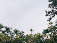 -曼听御花园