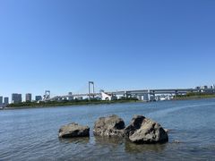 -台场海滨公园船码头