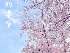 -永安水煮活鱼·仪征土菜院子