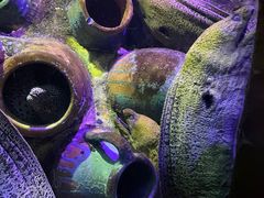 -太平洋海底世界