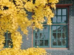 -四川大学(华西校区)