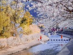 -四明山国家森林公园