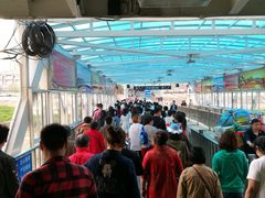 -武汉关码头(轮渡站)