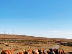 -塞罕坝国家级自然保护区