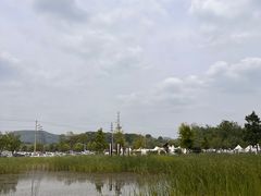 -佛手湖郊野公园